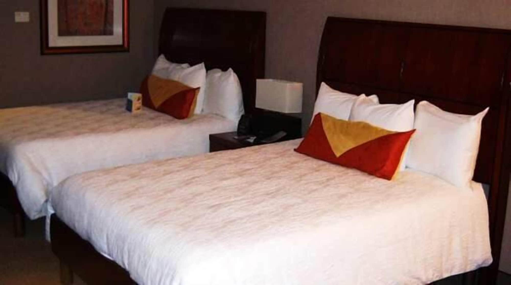 Hilton Garden Inn Indianapolis South/Greenwood Camera foto